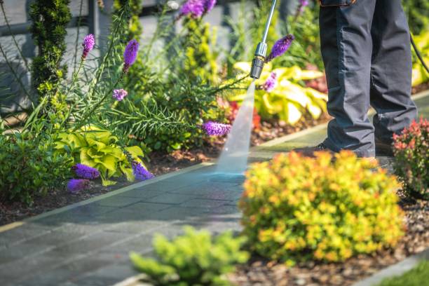 Best Pool Deck Cleaning  in Wynantskill, NY